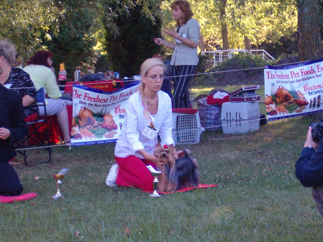 2006.09.09. Hungria Yorkshire Terrier Club  CAC-klubkillts nylt osztlyos szukk kitn 1 CAC  EMOTION OF LITTLE BUNNY FU FU