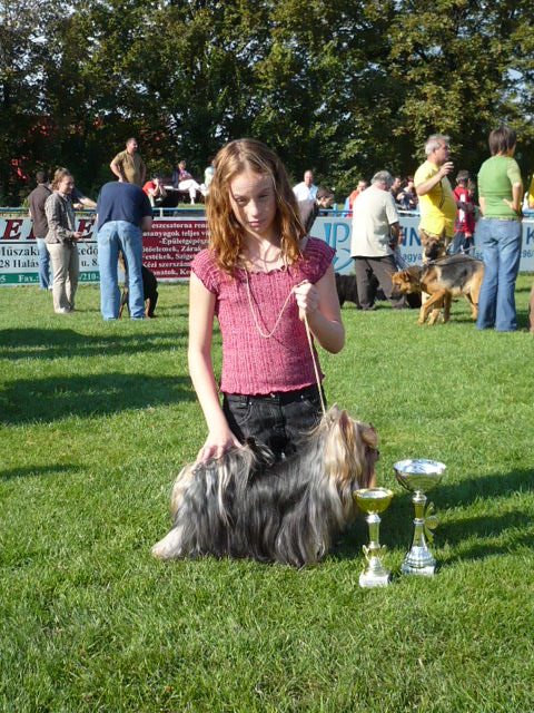 Talisman LAJTA KUPA I. s JUNIOR HANDLER I. Felvezetk: Fldesi Lszln s lnya:Vanessa