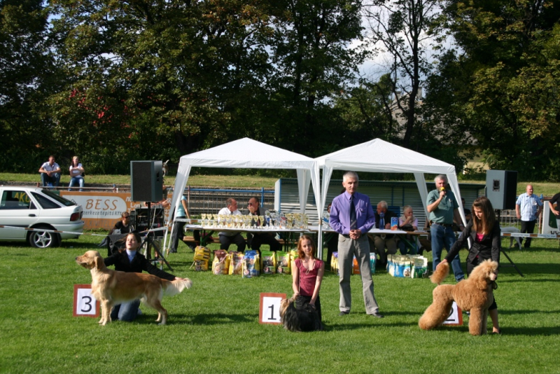 Egy nap kt BIS gyzelem! TALISMAN Mosonmagyarvr 2009.szept.06. Junior Handler I.: Fldesi Vanessa