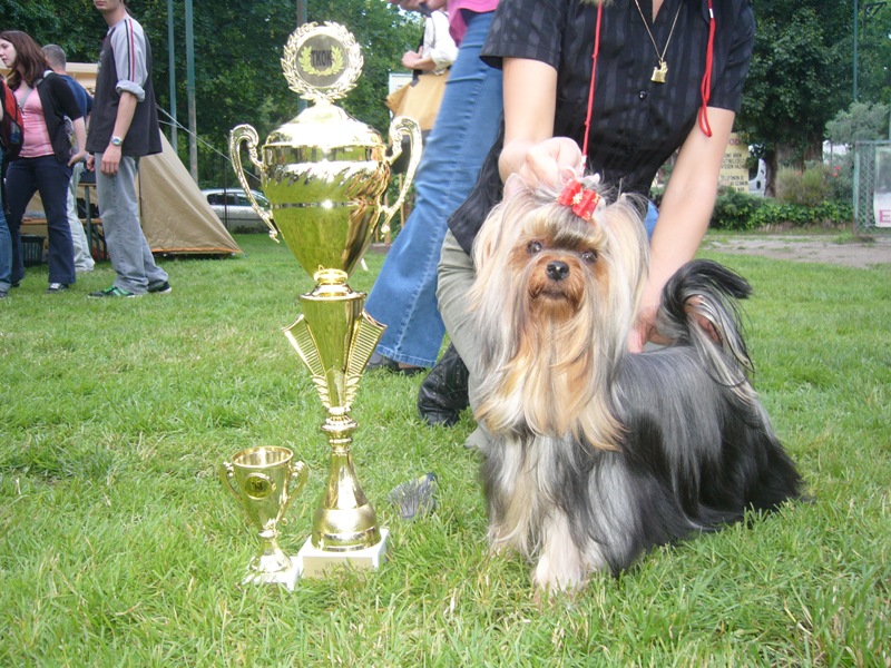 Ice Baby lnya: Chanel of Little Blue Diamonds New MKSZ Junior Champion, JUNIOR BIS!