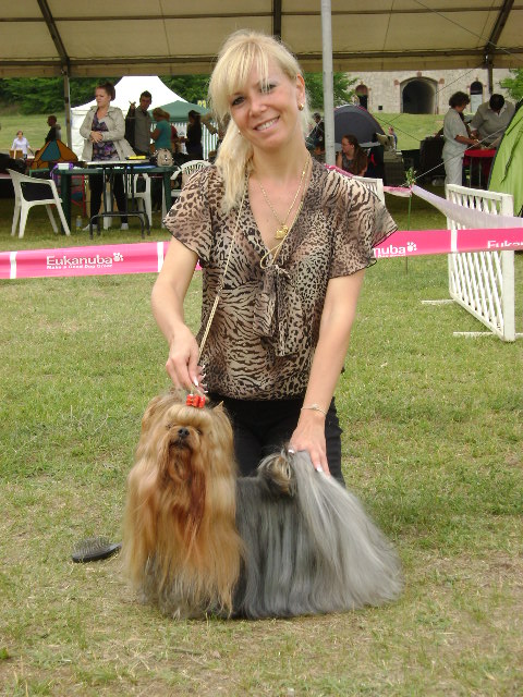 Multi CH Talisman of Maryon's Home Ch osztly CAC, New Hungaria Grand Champion! :-)